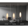 Потолочный светильник MAYTONI FOCUS ZOOM C055CL-L12W2.7K-SS-B